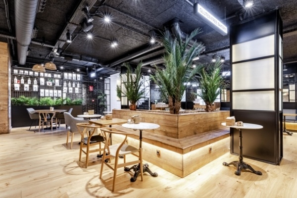 Jardin Vertical Interior archivos - Mi Jardín Vertical