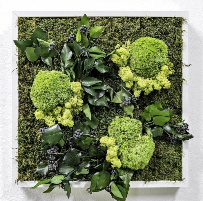 Cuadro Vegetal Notting Hill