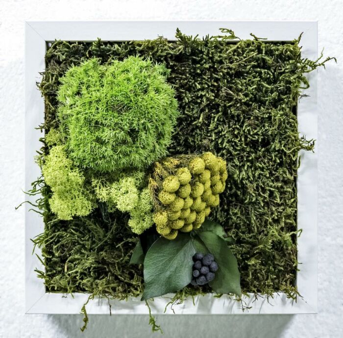 Cuadro Vegetal Soho