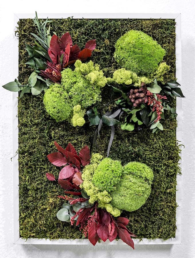 cuadro_vegetal_MONTMARTRE cuadros vegetales españa
