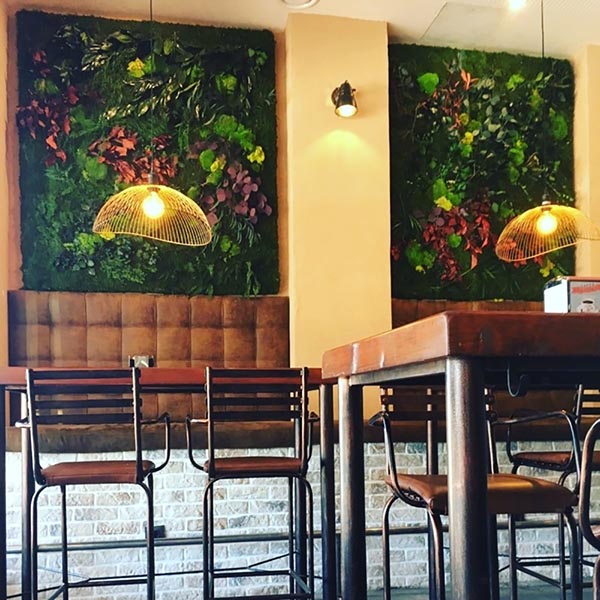 local-s diseño de decoración muros de plantas