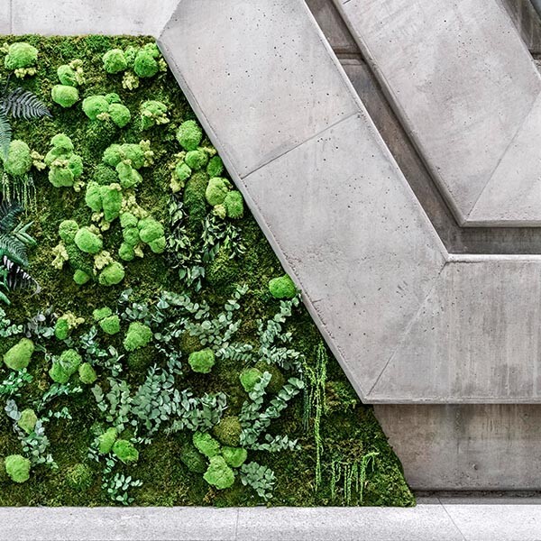 muro vertical verde para empresas
