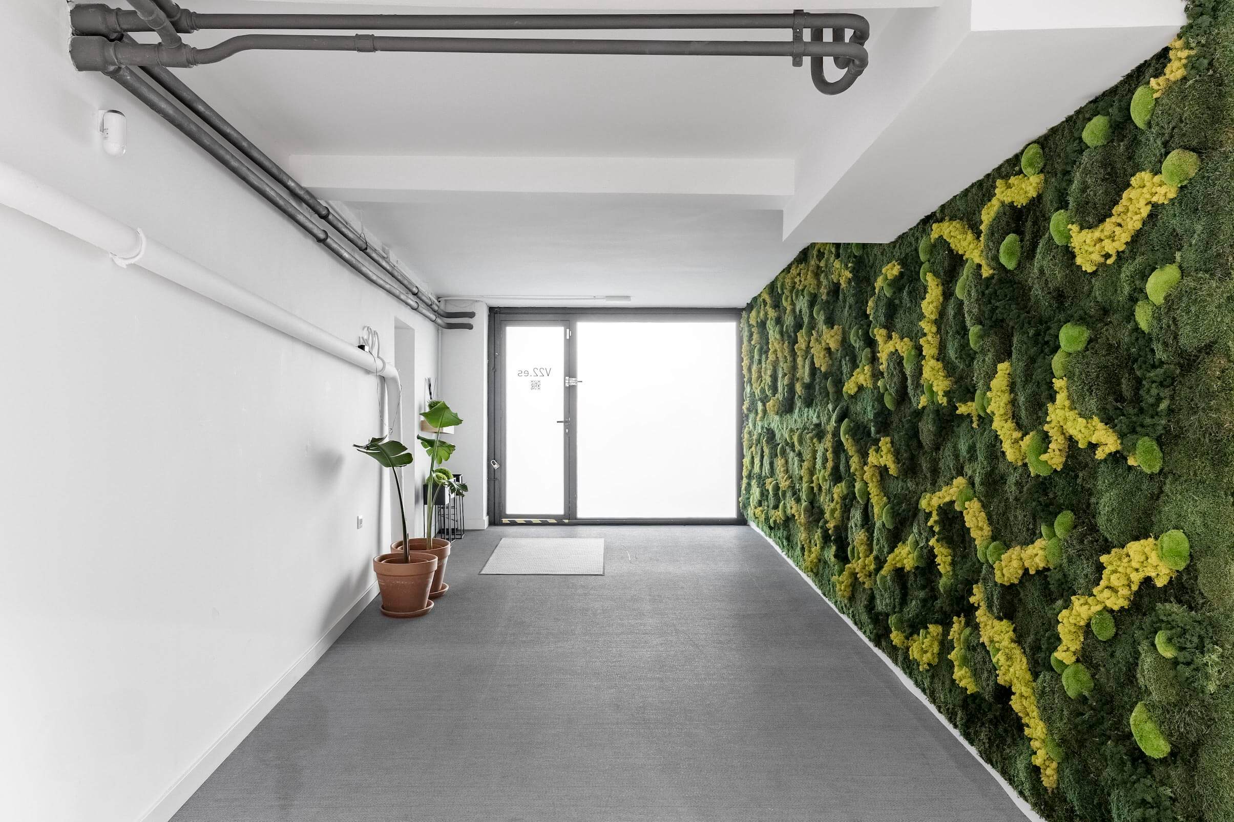 Hall_Caleydos_Mijardinvertical3