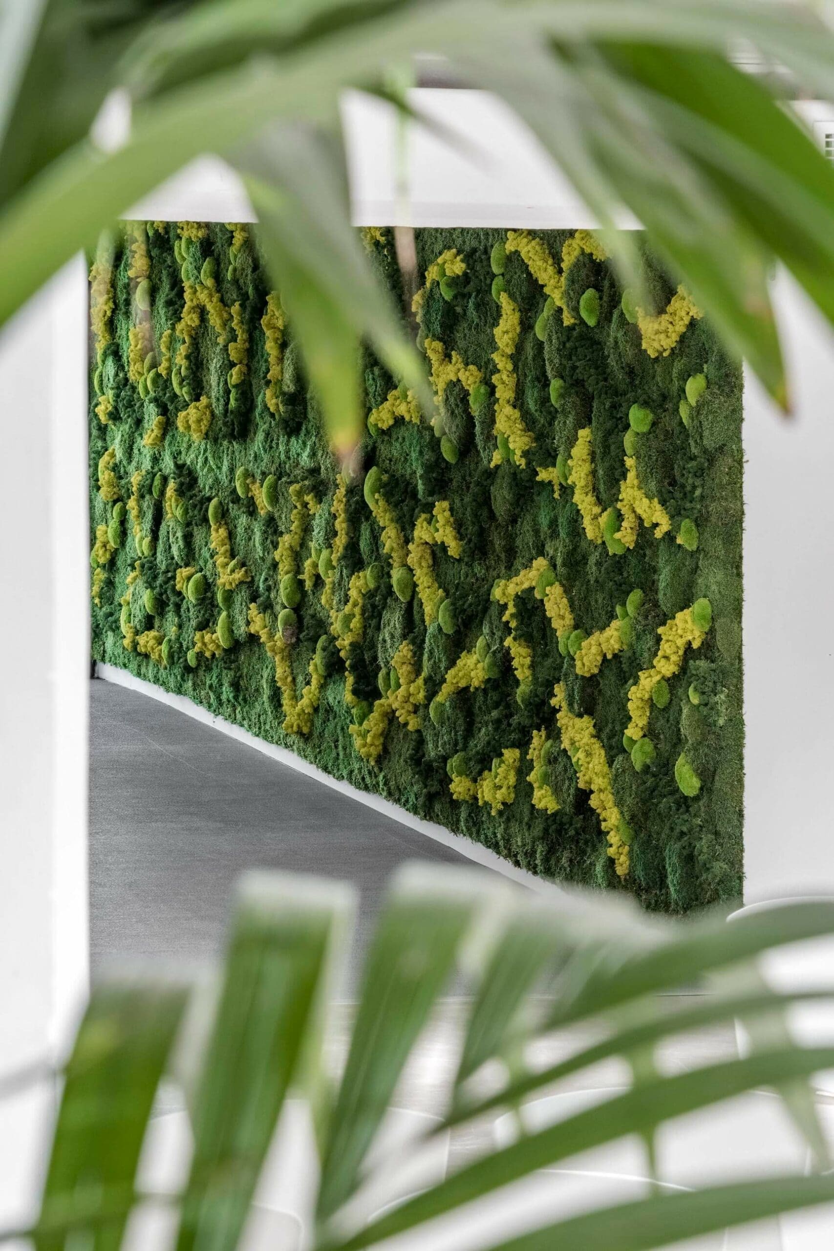 Hall_Caleydos_Mijardinvertical8-scaled