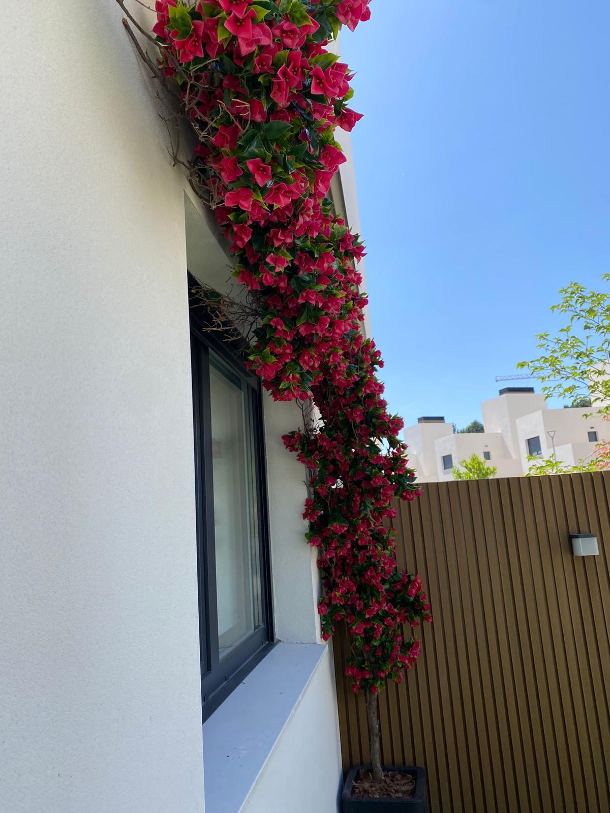 Primer plano de flores de buganvilla artificial con cielo azul