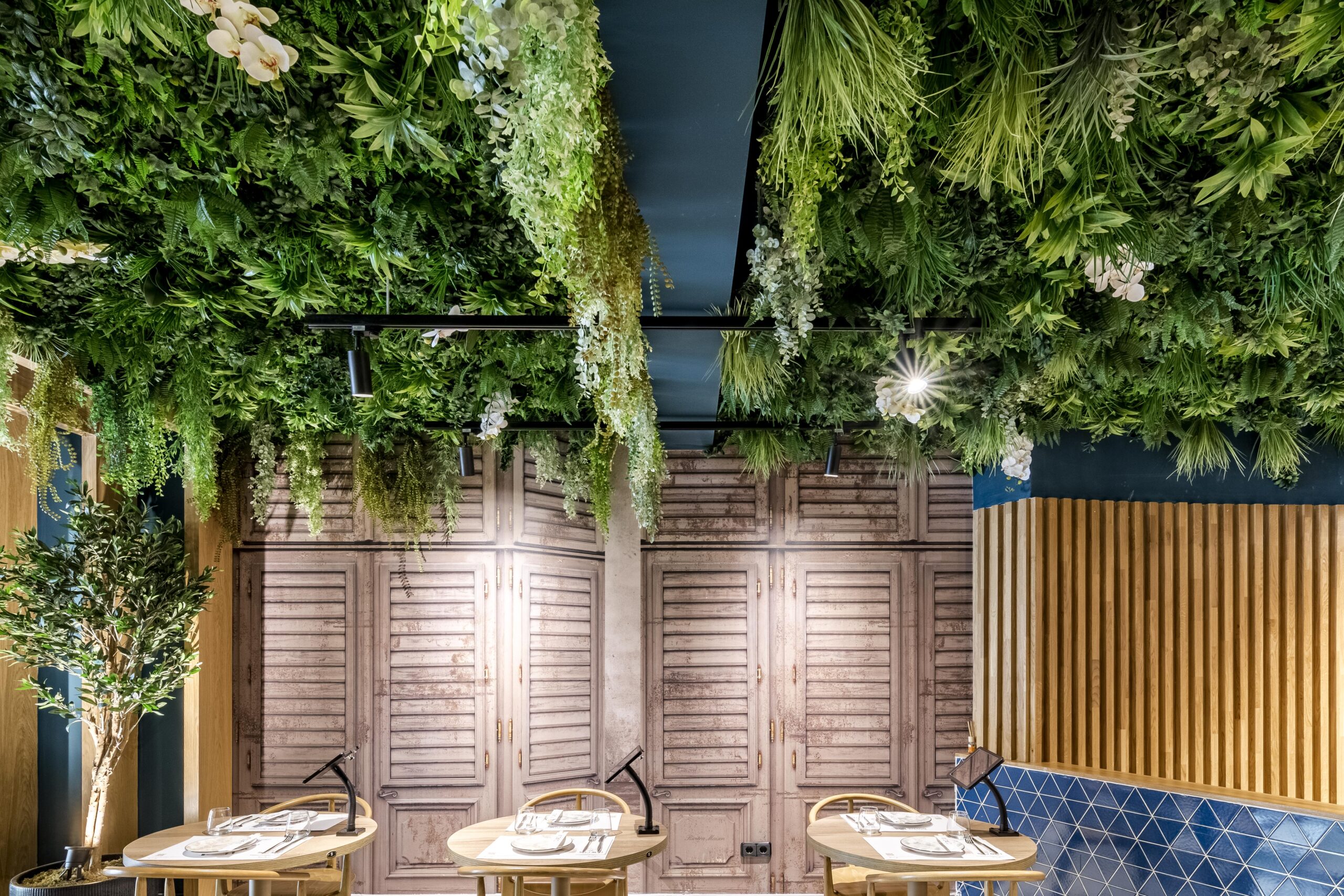 Techo vegetal premium a medida para hosteleria y espacios contract