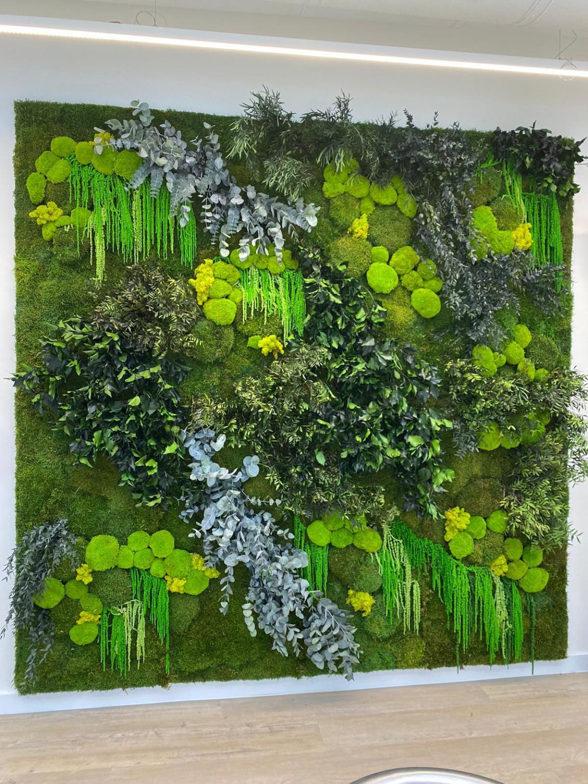 Decoraci&oacute;n vegetal preservada en las oficinas de ABANCA en A Coru&ntilde;a