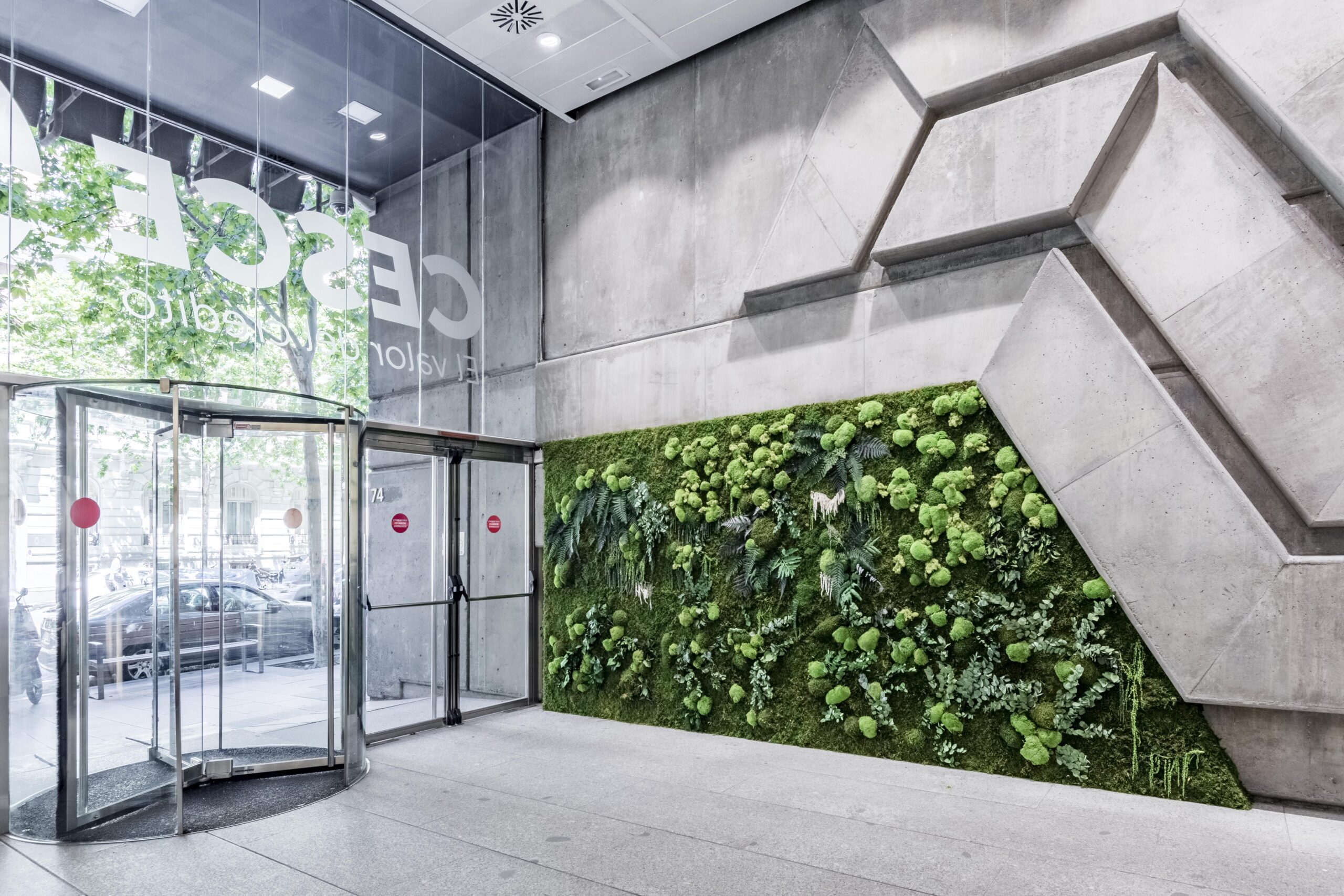 Jardin preservado premium para espacio corporativo contract