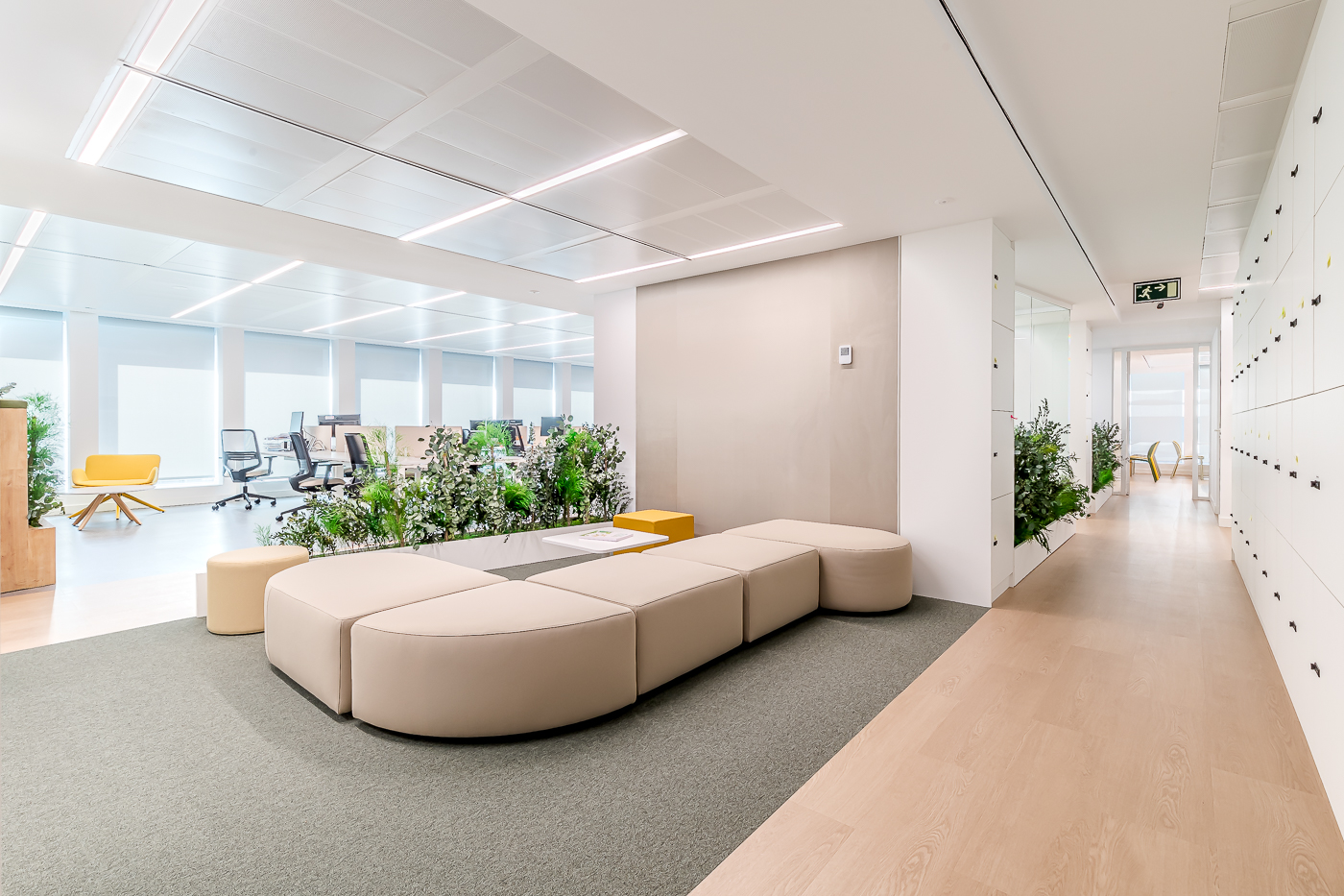 Jardineras de planta preservada en oficinas de la calle Orense