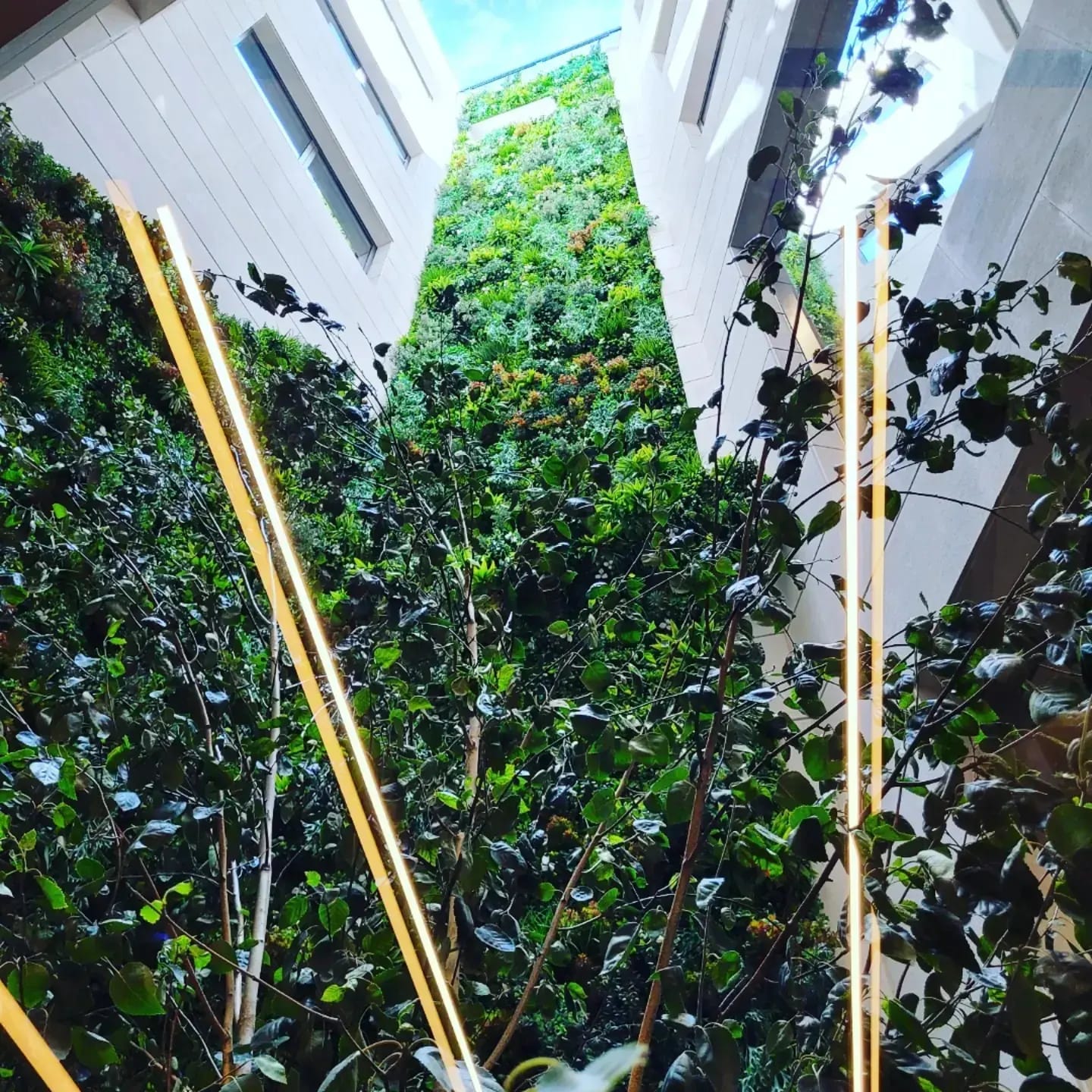 Patio interior con jardín artificial a medida en vivienda