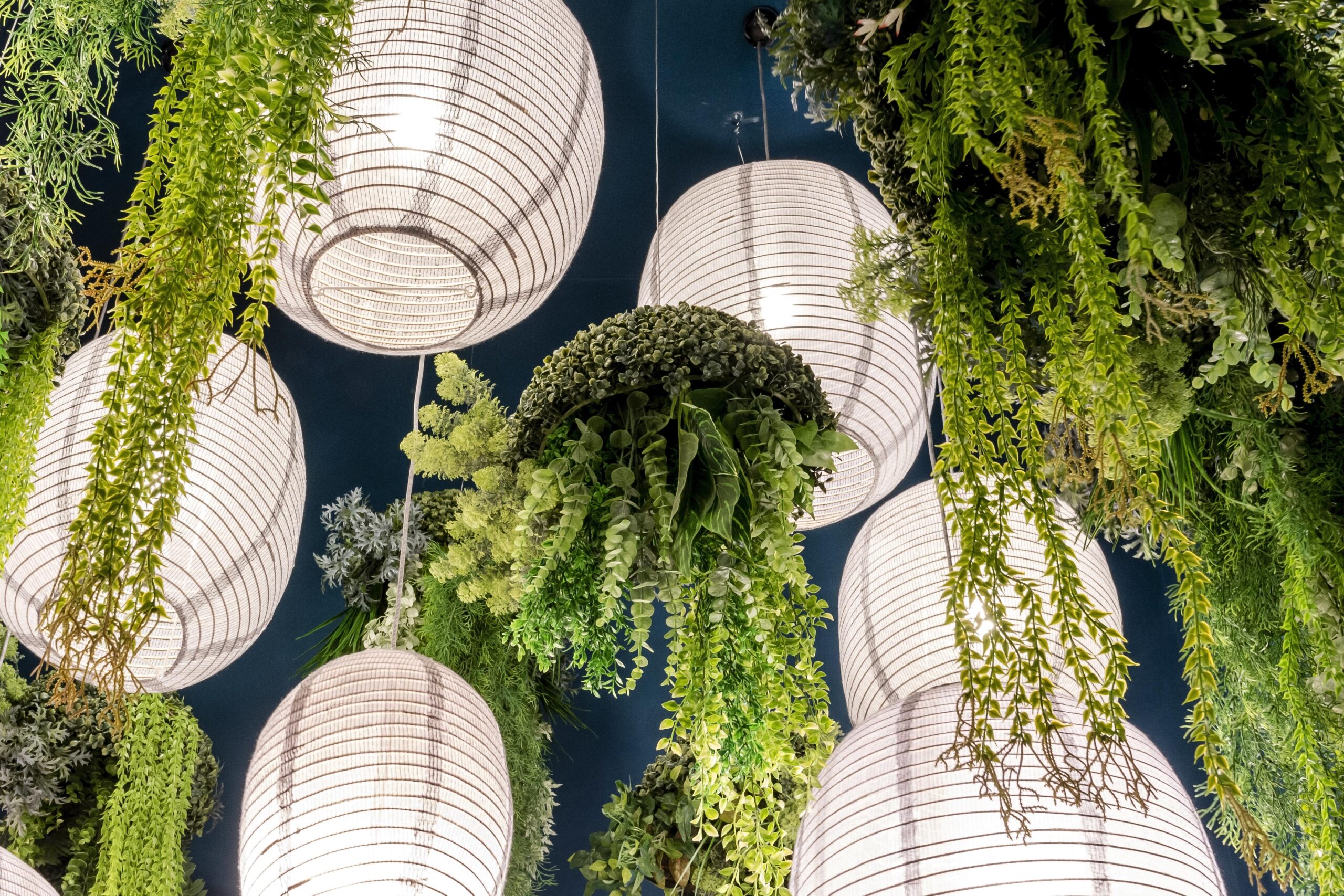 Techo vegetal premium integrado en la arquitectura de una oficina contract