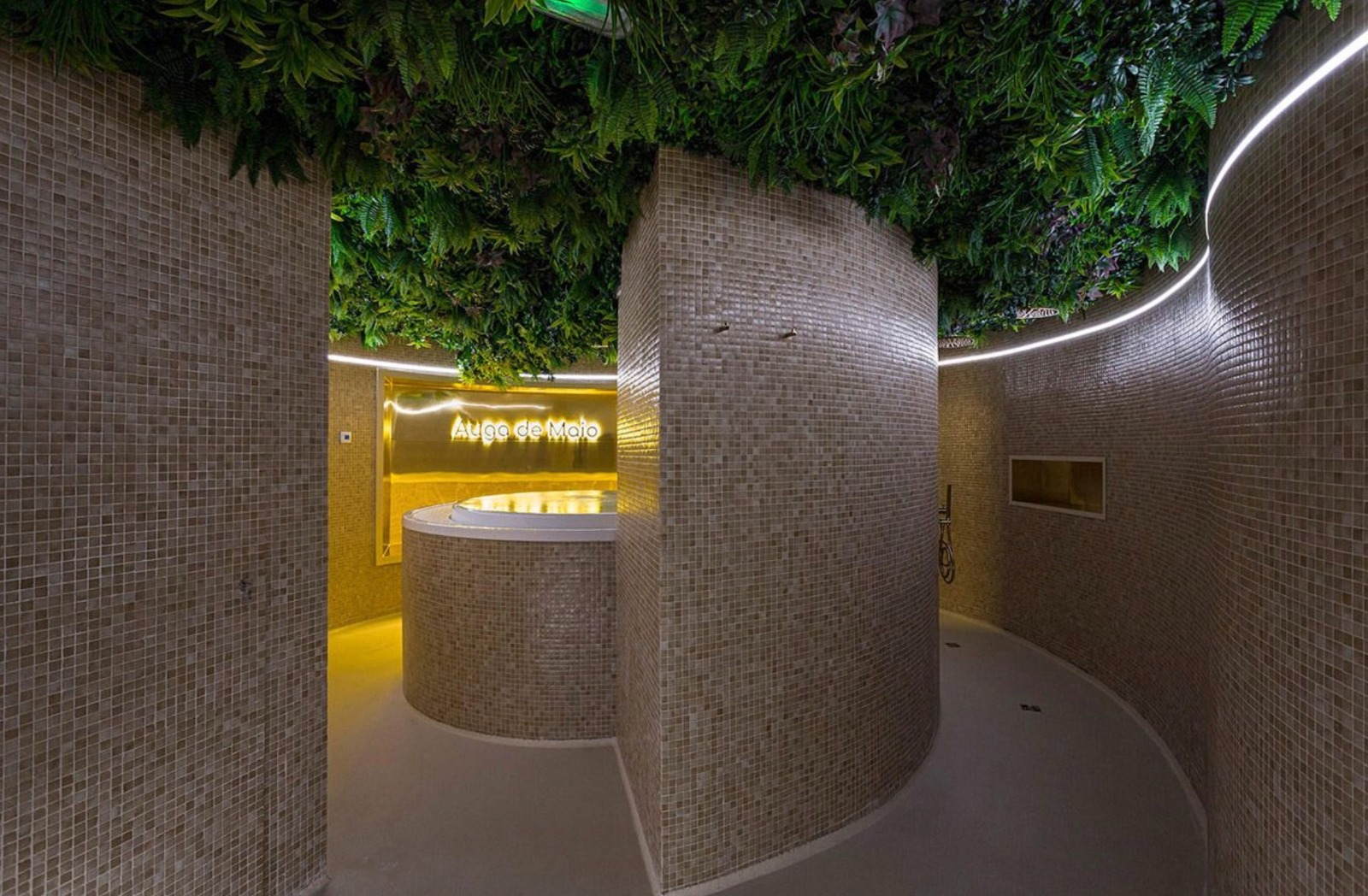 Composición vegetal integrada en el ambiente interior del spa Auga de Maio, en Vigo.