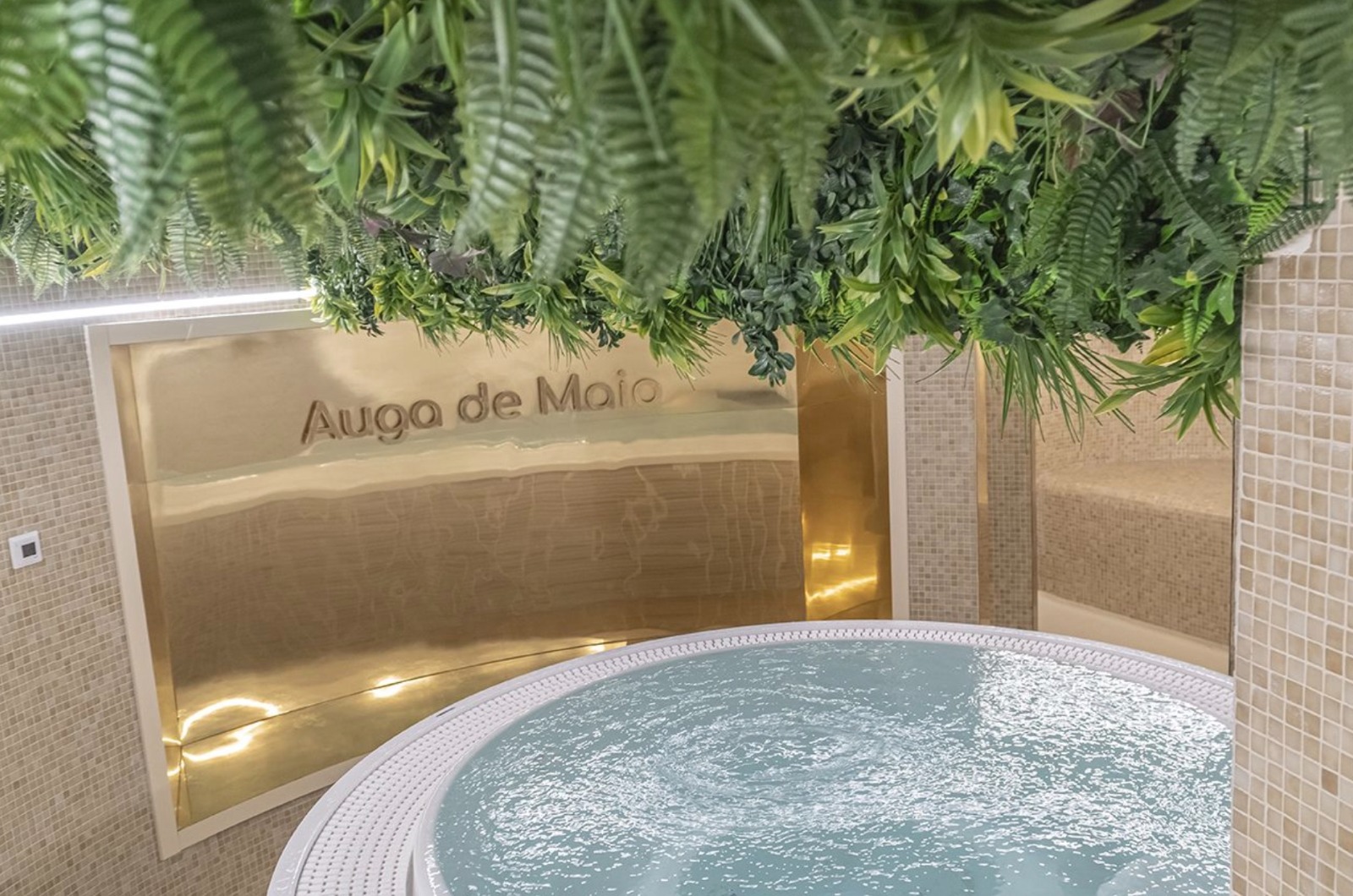 Detalle de vegetación suspendida sobre una zona de agua en el spa Auga de Maio.