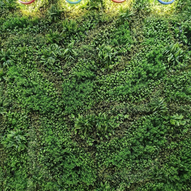 jardin-artificial-botanic-1