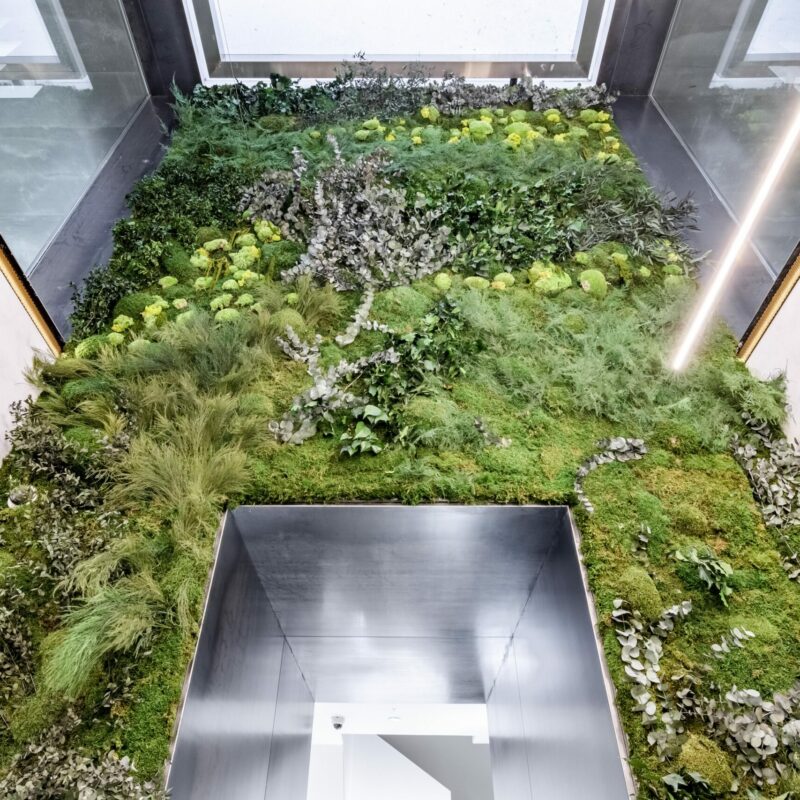 Panel de jardín vertical preservado para interior elegante
